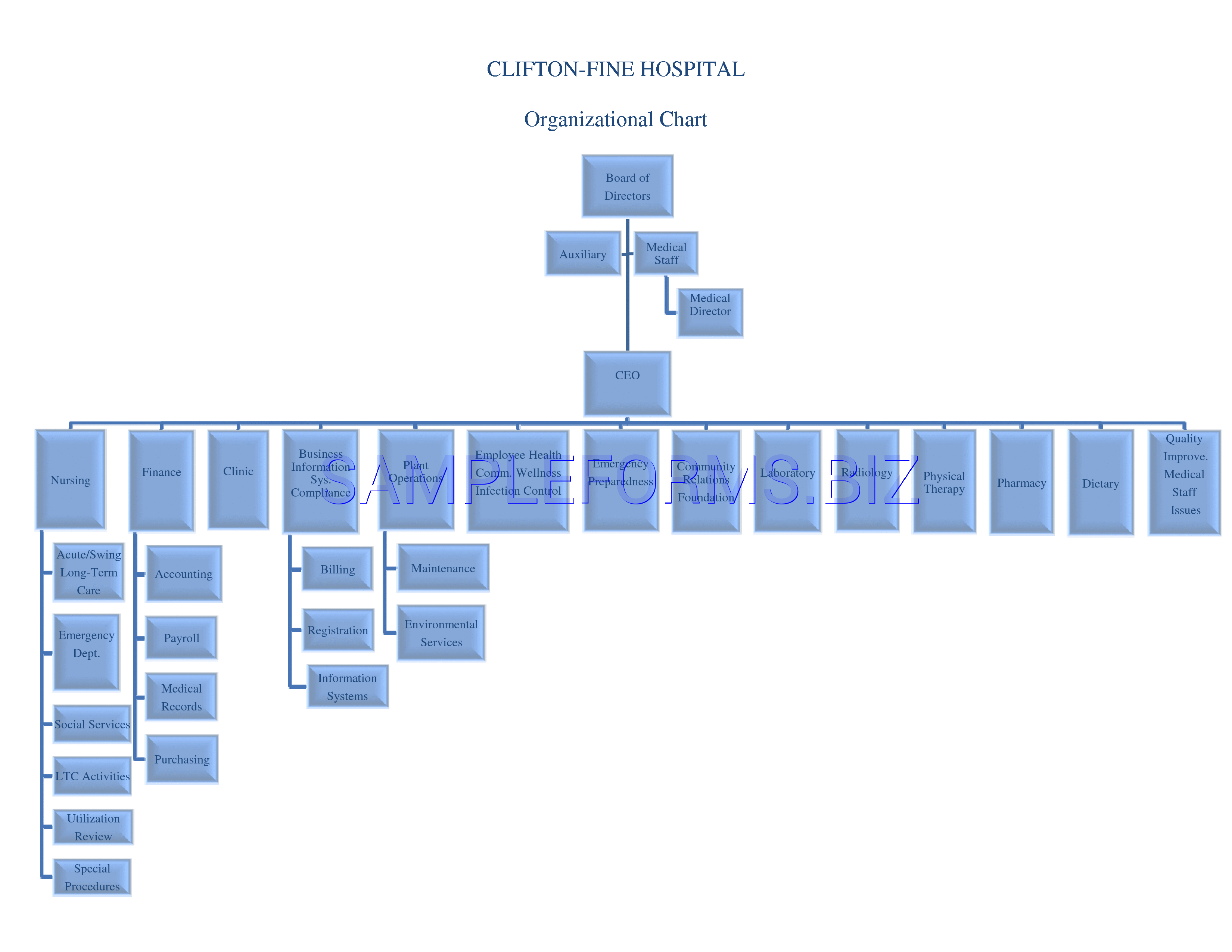 Preview free downloadable Hospital Organizational Chart 1 in PDF (page 1)