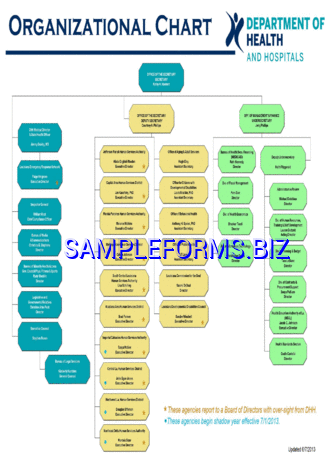 Hospital Organizational Chart 2