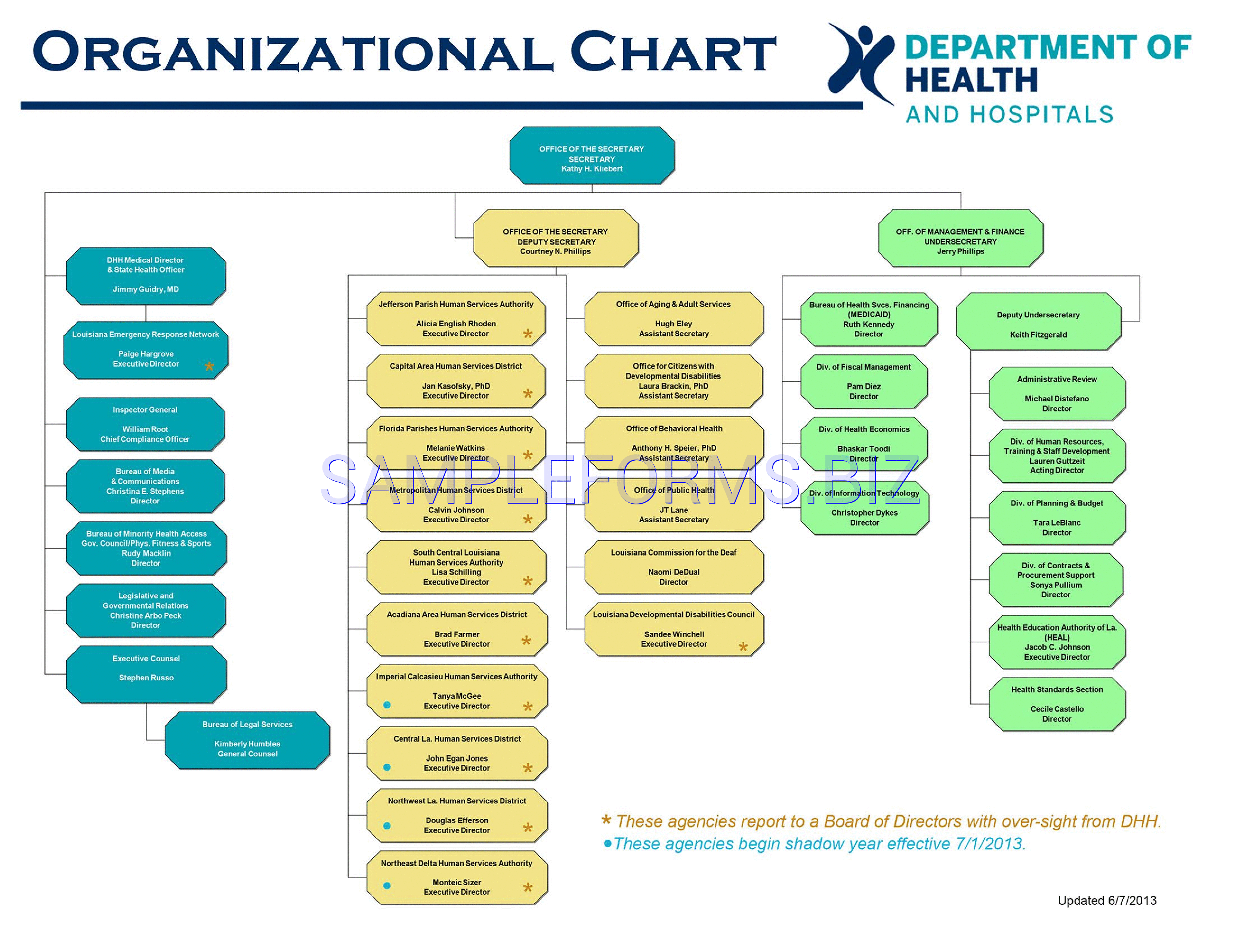Preview free downloadable Hospital Organizational Chart 2 in PDF (page 1)