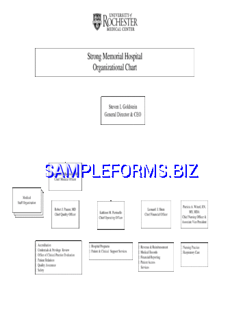Hospital Organizational Chart 3 pdf free